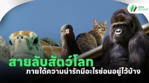 สายลับสัตว์โลก: ภายใต้ความน่ารักมีอะไรซ่อนอยู่บ้าง